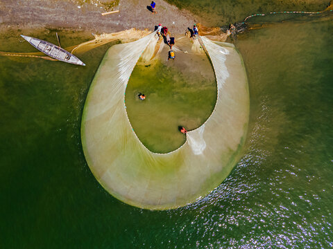 Aerial view of fishermen casting a large net in the tranquil waters, creating a mesmerizing circular pattern against the backdrop of the shore, Bogura, Bangladesh.