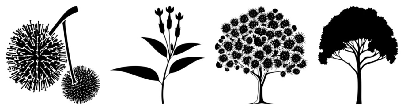 Vector botanical silhouettes including dandelion seed head, flowering plant stem, thistle covered tree, and leafy canopy tree. Flat black style, isolated foreground elements.