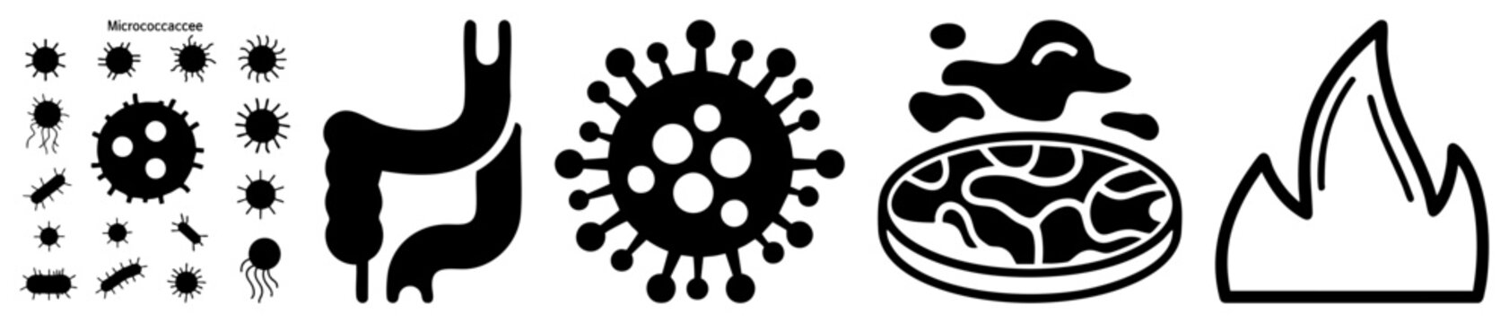 Bacterial colonies, viral particles, gut anatomy, petri dish cultures, flame sterilization symbols, microbiological infection vectors.