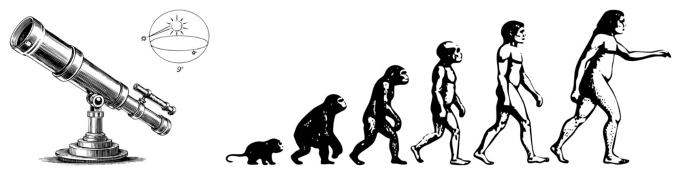 Human evolution sequence from ape to modern human, scientific illustration, historical diagram, anatomical progression, prehistoric development, study.