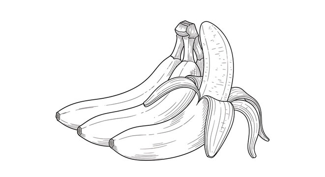 A detailed black and white sketch of a bunch of ripe bananas, with one banana partially peeled.