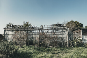 木枠が朽ちた古いビニールハウス田舎のノスタルジックな光景