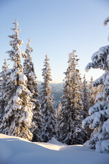 Winter in the Austrian Alps © Olha Sydorenko