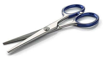 Obraz premium Stainless Steel Scissors with Blue Handles, Professional Cutting Tool