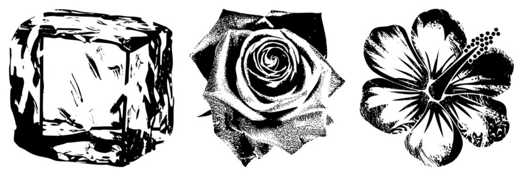 Hand drawn halftone ice cube, rose, hibiscus flower, vector art, graphic design elements, stylized botanicals, isolated illustrations.