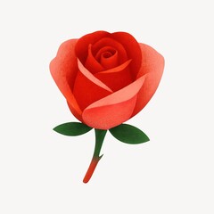 Fototapeta premium Vibrant red rose illustration design.