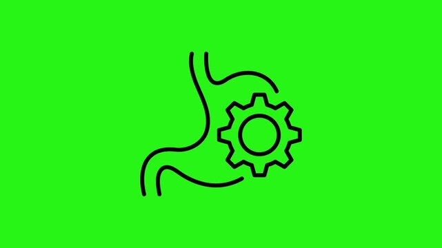 Animated stomach digestion line icon showing food processing on green screen background