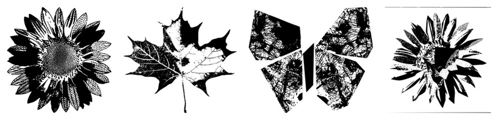 Obraz premium Black and white halftone sunflower and maple leaf designs, vector art with stippled textures, botanical illustrations, graphic design elements, isolated foregrounds.