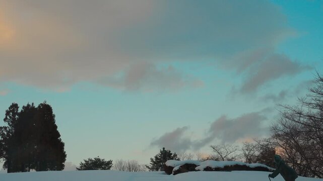 Winter Landscape with Human Statues and Trees Under Soft Sunset Sky in Serene Outdoor Scene