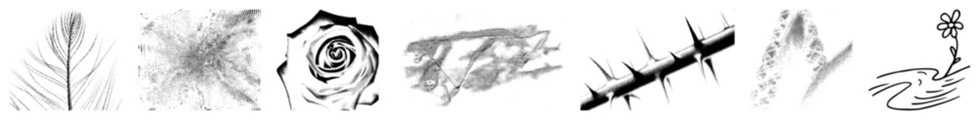 Detailed art of leaf, rose,, ripple, and abstract, vector graphics, nature motifs, minimalist design, stylized botanical elements.