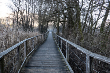 Fototapeta premium Wooden boardwalk through wetland nature at Baitoni di Bondone near Lago d Idro in Val Sabbia, Italy