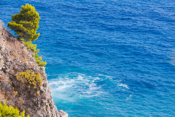 A dramatic cliffside scene with a green pine tree