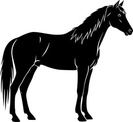 Obraz premium Isolated black vector silhouette of a standing horse side view on white, equestrian animal illustration for logo or symbol design. 