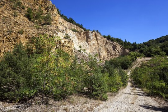 Disused Vatter porphyry quarry, Dossenheim, Baden-W&uuml;rttemberg, Germany