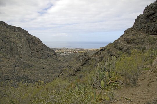 Barranco del Infierno, Gorge of Hell, behind Adeje, Tenerife, Canary Islands, Spain
