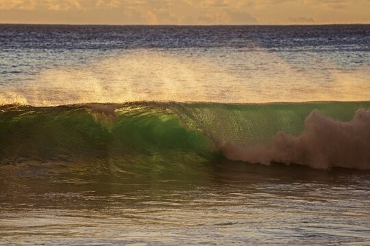 Sea, wave, spray, backlight, evening light, Madeira, Portugal