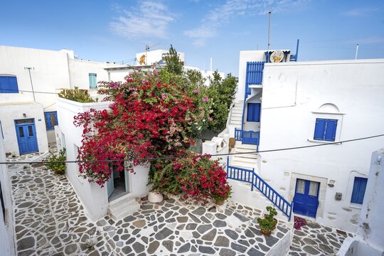 White Cycladic houses with red bougainvillea, narrow streets of Parikia, Parikia, Paros, Cyclades, Greece