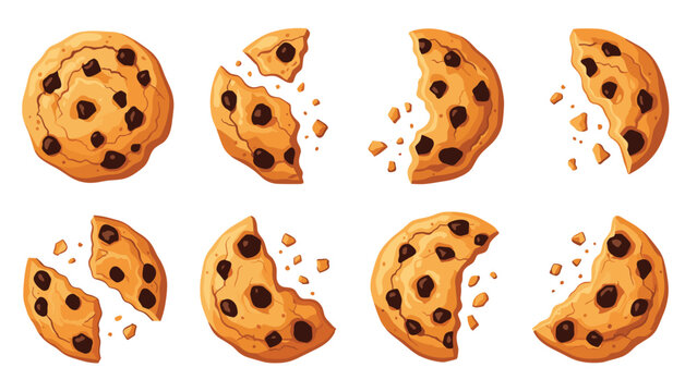 Assorted delicious chocolate chip cookies in various stages of being eaten, from whole to broken pieces and crumbs, in a food collection set.