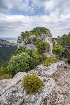 Old castle walls on mountain top, Castell Alar&oacute; castle ruins, Puig dAlar&oacute;, Serra de Tramuntana, Majorca, Spain