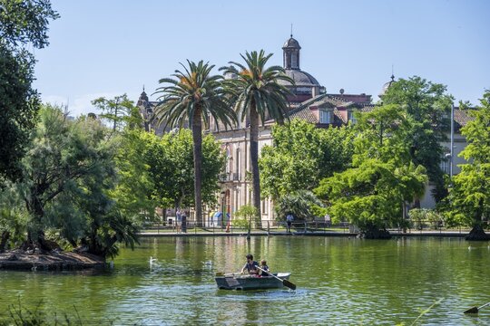 Rowing boat in a lake, municipal park, Parc de la Ciutadella, Barcelona, Catalonia, Spain