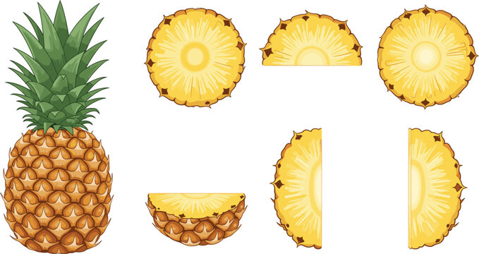 Tropical pineapple fruit vector collection featuring whole fruit and sliced pieces for exotic food packaging, healthy summer juice labels, and organic product design.