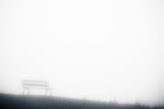 Mountain meadow with bench and fog in the background, stream, Lechtal, Tyrol, Austria