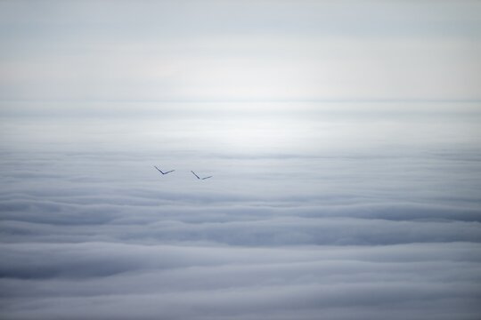 Sea of clouds with peaks of two wind turbines, Wertach, Oberallg&auml;u, Bavaria, Germany
