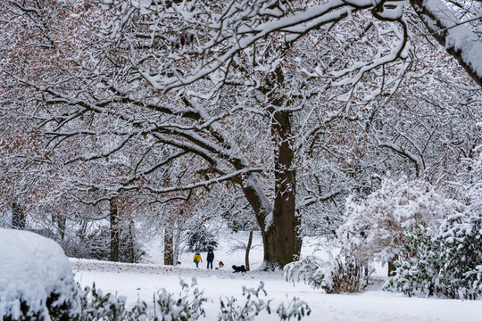 Spazierg&auml;nger im winterlich eingeschneiten D&uuml;sternbrooker Geh&ouml;lz im Dezember in Kiel