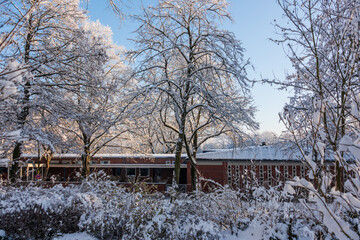 Fototapete bei efototapeten.de bestellen   