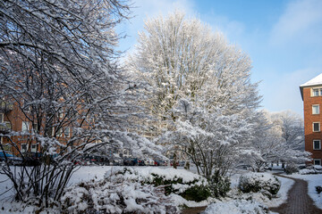 Fototapete bei efototapeten.de bestellen   