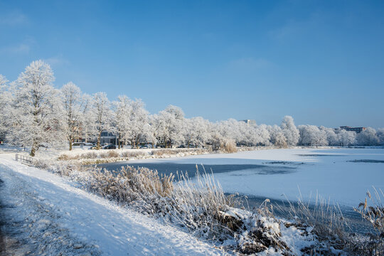 Blick auf den zugefrorenen Kleinen Kiel und eine Baumallee mit Rauhreif an einem eisigen Dezembertag