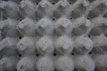 Paper egg tray. Egg crates.  Paper egg cartons 