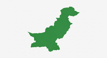 Green map of pakistan on white background country outline geographic illustration