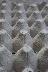 close up of paper egg tray