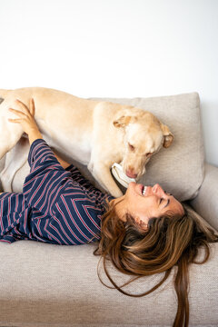 A woman is laying on a couch with her dog. The dog is chewing on a toy. The woman is smiling and enjoying the moment
