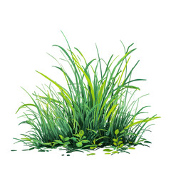 Fresh Green Grass with Lush, Vibrant Texture, Perfect for Nature and Landscape Designs ,isolated on transparent background