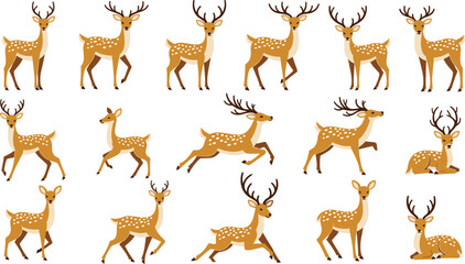 Cute deer and stag pose set with spotted fawn characters in forest wildlife cartoon illustration collection