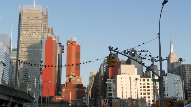 New York City, United States of America. Manhattan Midtown Hells Kitchen urban cityscape architecture. Pigeon birds. Empire State Building on 34 street, 5 avenue. Skyscraper tower, Port Authority area
