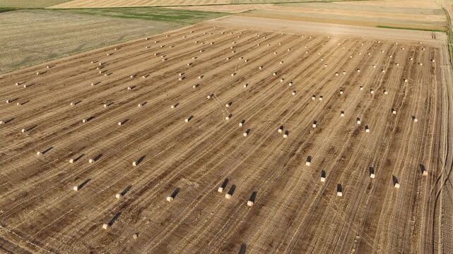 Large open field filled with rolled hay, symbolizing agriculture and farming traditions