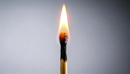Burning Matchstick - A Close-Up of Flame and Wood.