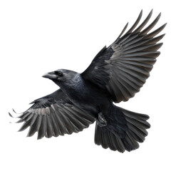 Naklejka premium Majestic Crow in Flight with Outstretched Wings, Capturing the Beauty and Power of Nature ,isolated on transparent background