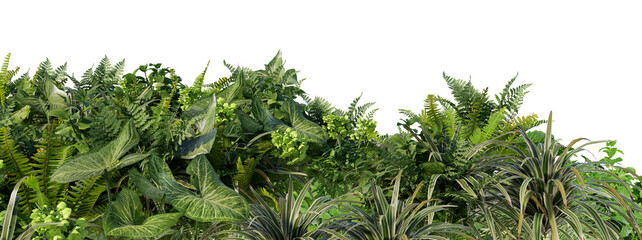 3D render of various green-leafed plants on a transparent background  © jomphon