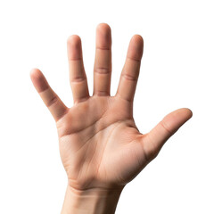 Hand with fingers spread apart on white background isolated on transparent background