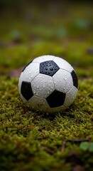 Fototapeta premium Soccer ball with water droplets on green mossy surface