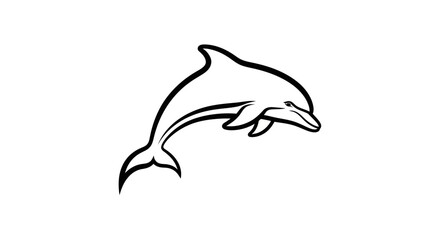 Fototapeta premium Adobe Illustrator Artwork