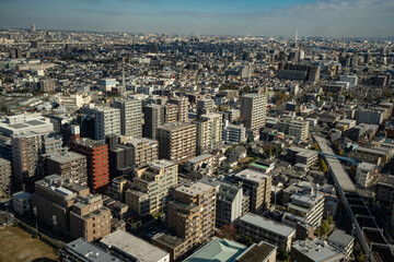 Obraz premium 東京江戸川区の船堀タワーホールからの眺め、東京江戸川区の眺め、密集した東京の住宅地、青空の下の大都会東京