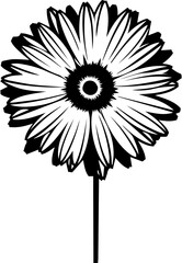 Detailed gerbera daisy flower silhouette in black and white, elegant floral element for garden design