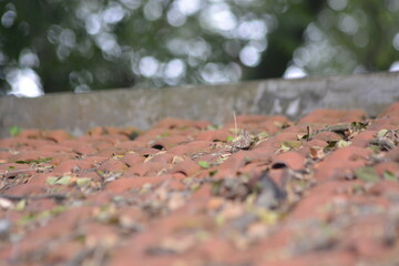 Red clay roof tiles close up with blurred trees and copy space