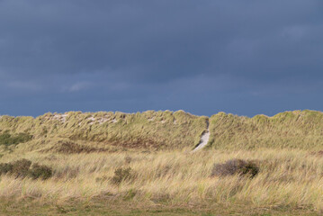 Walking along the sandy paths through the dunes on Ameland during a cloudy day