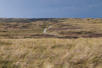 Walking path through grasslands in Ameland during a sunny afternoon with scattered clouds